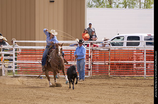 Never Summer Rodeo - Ladies Break Away