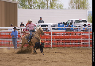 Never Summer Rodeo - Ladies Break Away