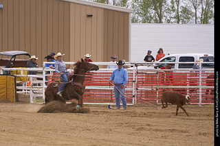 Never Summer Rodeo - Ladies Break Away