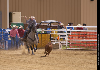 Never Summer Rodeo - Ladies Break Away