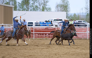Never Summer Rodeo - Mixed Team Roping
