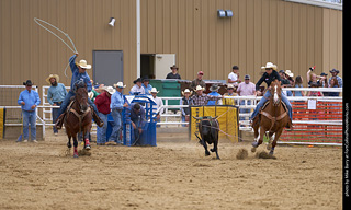 Never Summer Rodeo - Mixed Team Roping