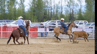 Never Summer Rodeo - Open Team Roping