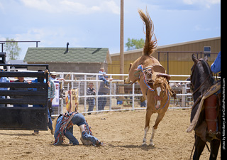 Never Summer Rodeo - Saddle Bronc Riding
