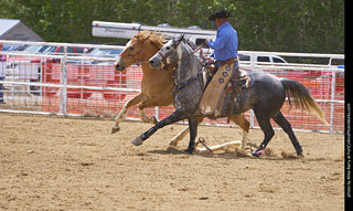 Never Summer Rodeo - Saddle Bronc Riding