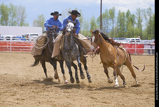 Never Summer Rodeo - Saddle Bronc Riding