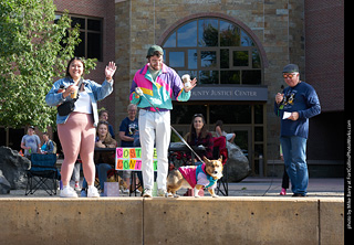 Tour de Corgi - Costume Contest