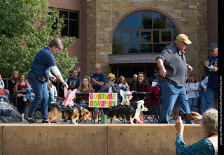 Tour de Corgi - Costume Contest