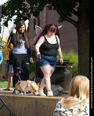 Tour de Corgi - Costume Contest