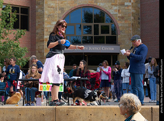 Tour de Corgi - Costume Contest