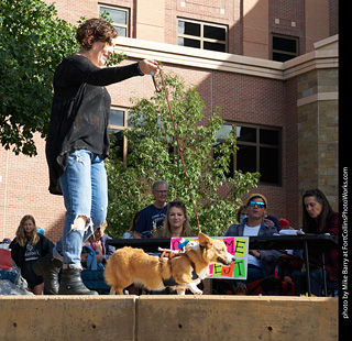 Tour de Corgi - Costume Contest