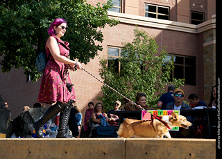 Tour de Corgi - Costume Contest