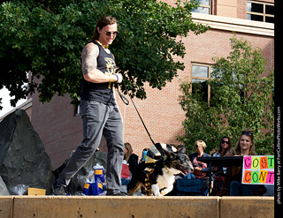 Tour de Corgi - Costume Contest