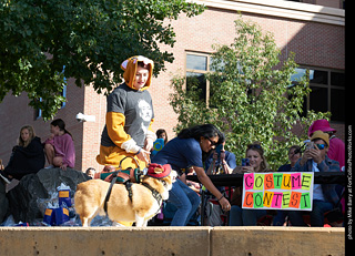 Tour de Corgi - Costume Contest