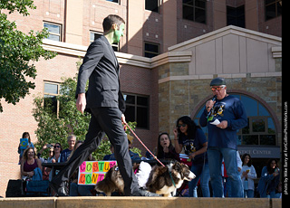 Tour de Corgi - Costume Contest