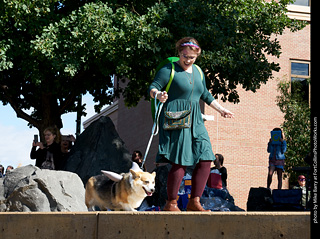 Tour de Corgi - Costume Contest