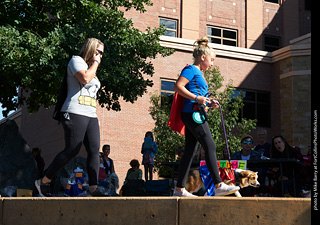 Tour de Corgi - Costume Contest