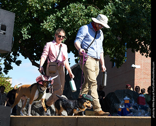 Tour de Corgi - Costume Contest