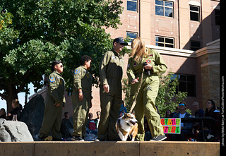 Tour de Corgi - Costume Contest