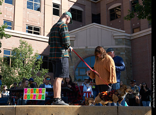 Tour de Corgi - Costume Contest