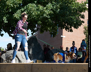 Tour de Corgi - Costume Contest