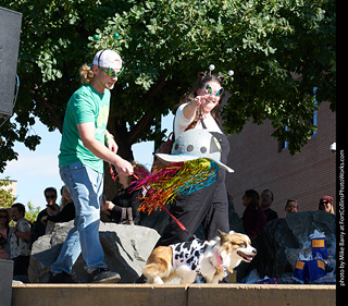 Tour de Corgi - Costume Contest