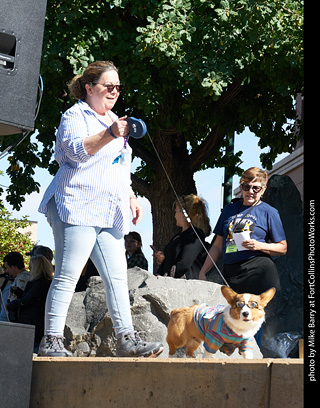 Tour de Corgi - Costume Contest