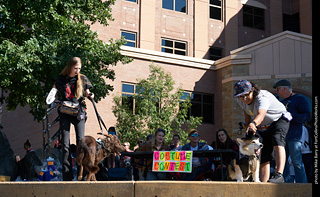 Tour de Corgi - Costume Contest