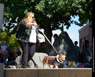 Tour de Corgi - Costume Contest