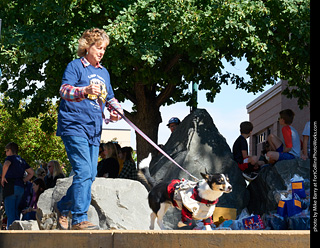 Tour de Corgi - Costume Contest