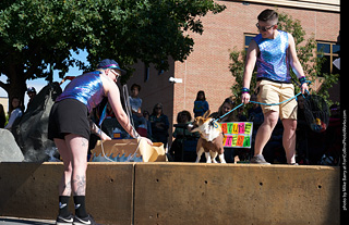 Tour de Corgi - Costume Contest