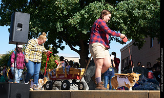 Tour de Corgi - Costume Contest