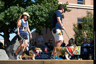 Tour de Corgi - Costume Contest