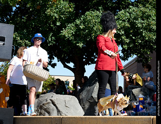 Tour de Corgi - Costume Contest