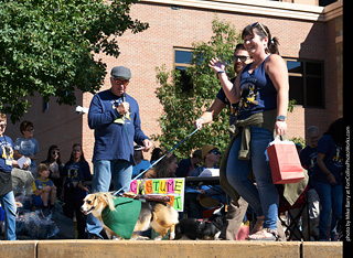 Tour de Corgi - Costume Contest