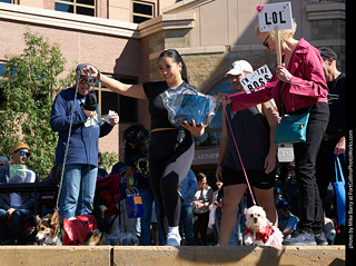 Tour de Corgi - Costume Contest