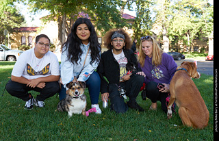 Tour de Corgi - meet up