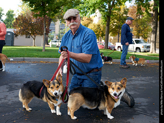 Tour de Corgi - meet up