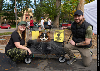 Tour de Corgi - meet up