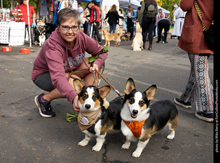 Tour de Corgi - meet up