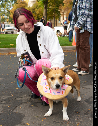 Tour de Corgi - meet up