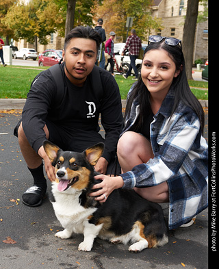 Tour de Corgi - meet up