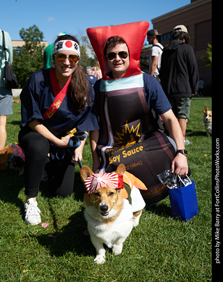 Tour de Corgi - meet up