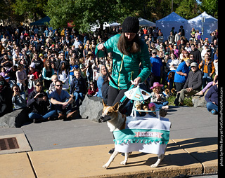 Tour de Corgi 2023