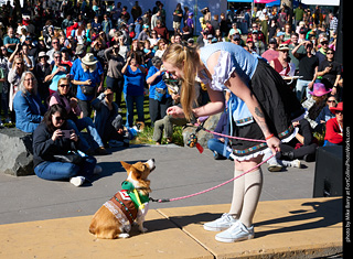 Tour de Corgi 2023