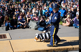 Tour de Corgi 2023