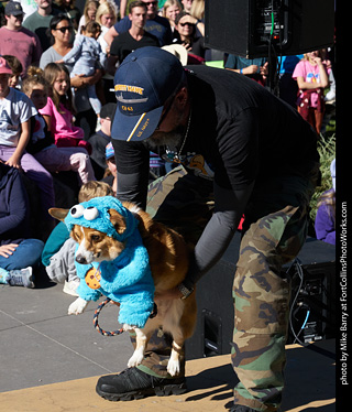 Tour de Corgi 2023