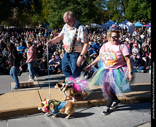 Tour de Corgi 2023