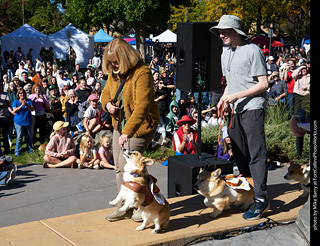 Tour de Corgi 2023