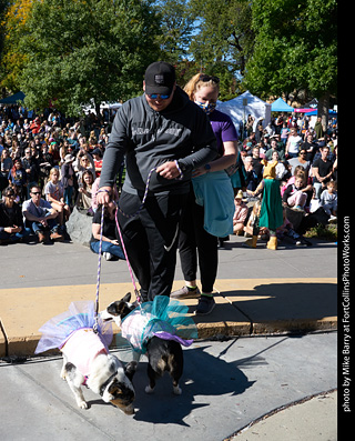 Tour de Corgi 2023